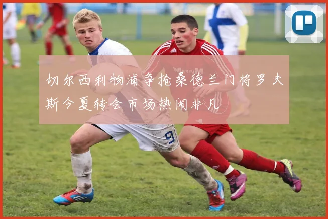 切尔西利物浦争抢桑德兰门将罗夫斯今夏转会市场热闹非凡